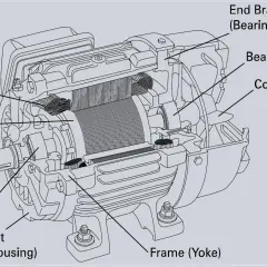 Cutaway view of an electric motor, showing the stator, rotor, bearings, cooling fan, and end brackets.