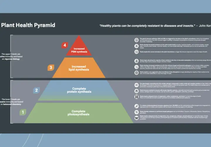 Plant Health Pyramid illustrating four levels of plant health, from complete photosynthesis to increased PSM synthesis, offering pyramid solutions for robust plant immunity.