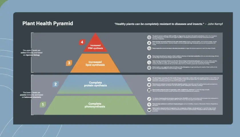 Plant Health Pyramid illustrating four levels of plant health, from complete photosynthesis to increased PSM synthesis, offering pyramid solutions for robust plant immunity.