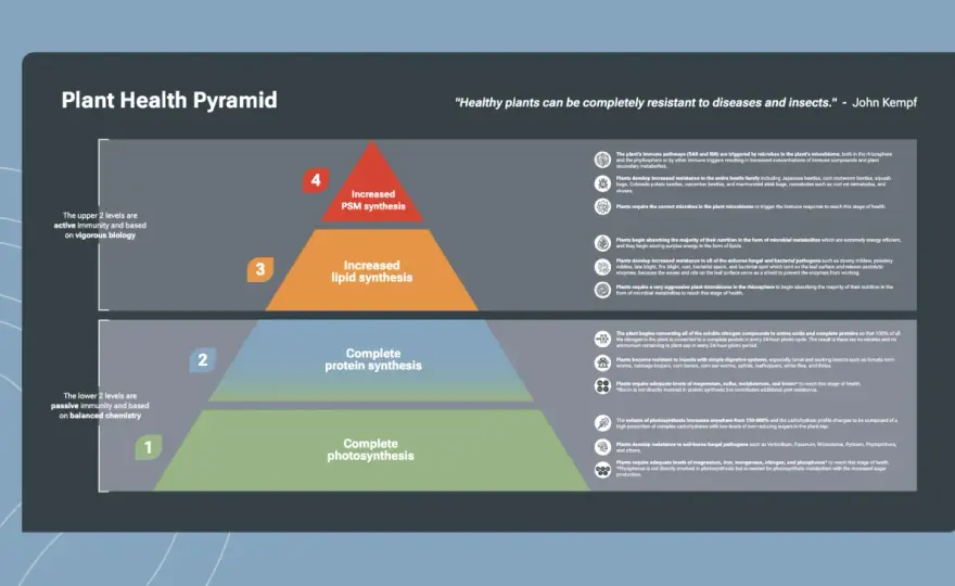 Pyramid Solutions Review - Is it Right for Your Plant?