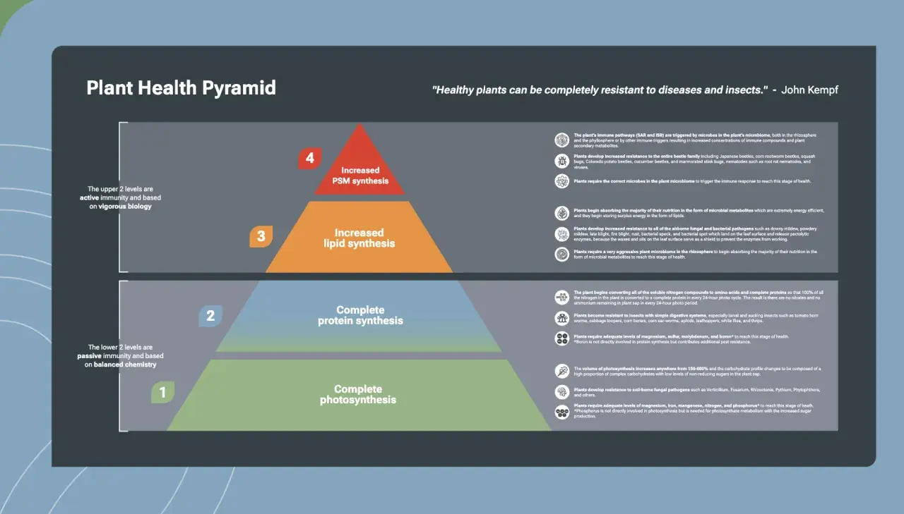 Plant Health Pyramid illustrating four levels of plant health, from complete photosynthesis to increased PSM synthesis, offering pyramid solutions for robust plant immunity.